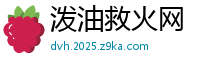 泼油救火网